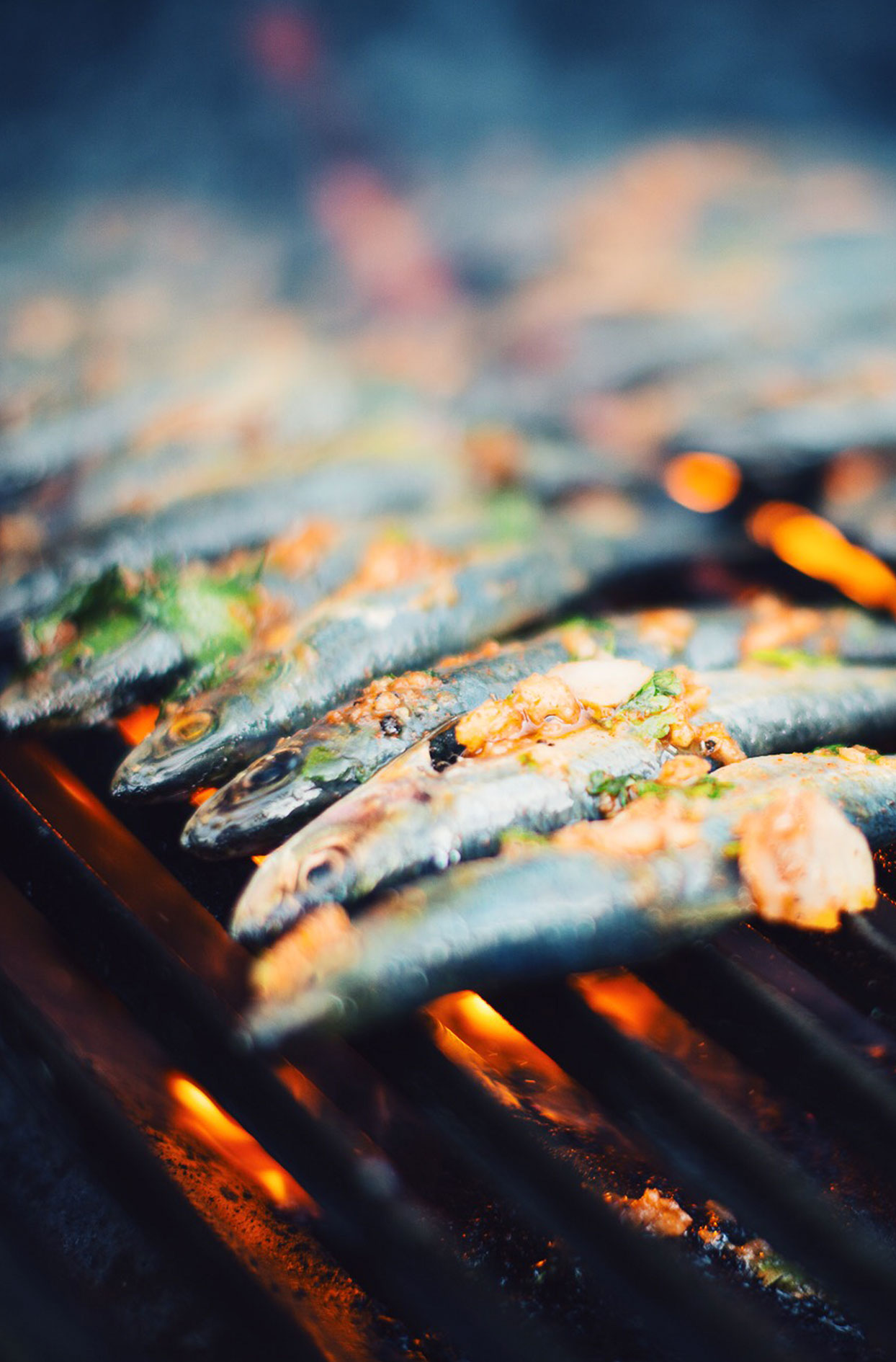 Grilled sardines on the bbq
